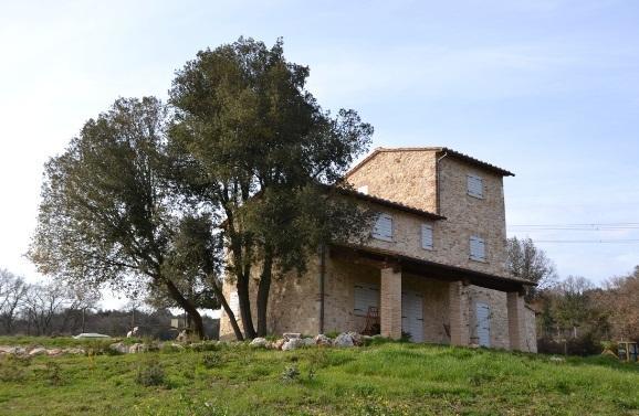 Agriturismo Surripa アメリア エクステリア 写真
