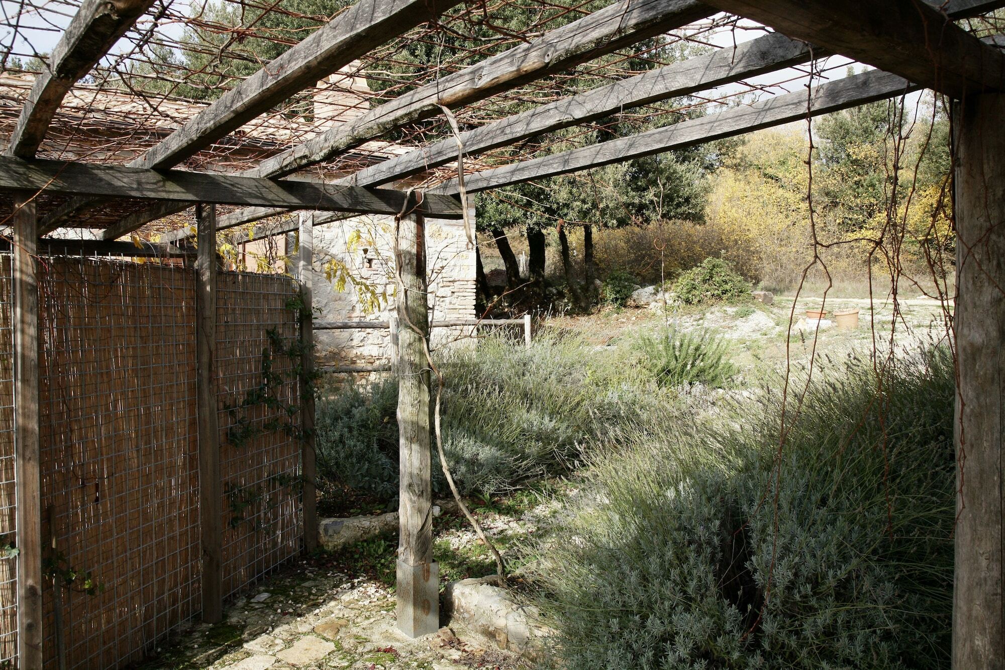 Agriturismo Surripa アメリア エクステリア 写真